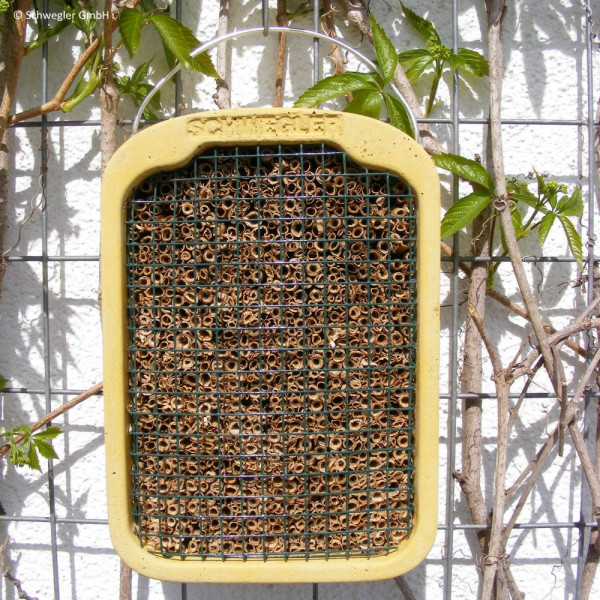 Insektenhotel Holzbeton mit Schilf