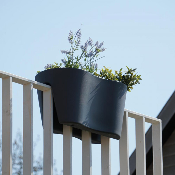 Pflanzkasten aus Kunststoff Steckling Duo Design 600 mm
