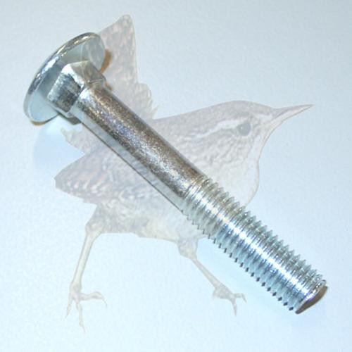 Schloßschraube M10 x 70 mm TG verzinkt