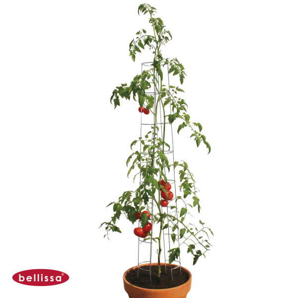 Tomatenturm.g.gif